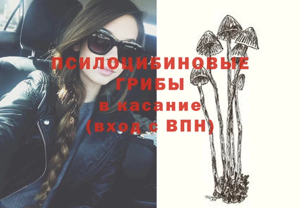 apvp Белоозёрский