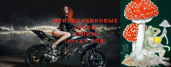 соль ск Белокуриха
