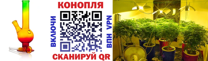 Марихуана SATIVA & INDICA  Нелидово 